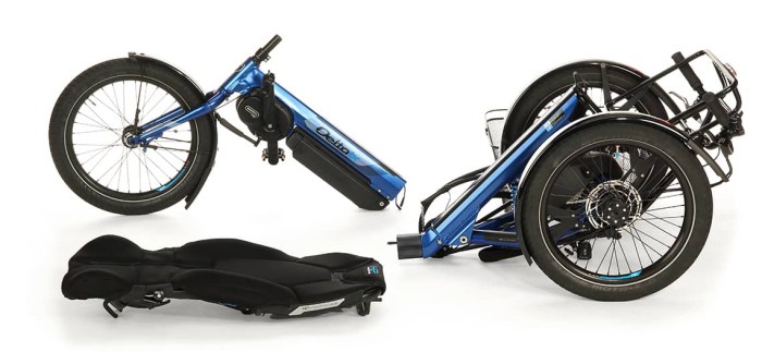 Delta-tx-Elektro-Dreirad-teilbar-electric-tricycle-separable-for-transport